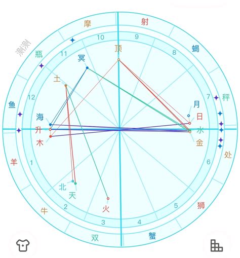 11月28日是什麼星座|射手座（占星学术语）